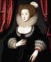 Portret van Mary Radclyffe - William Larkin — weergave van het kunstwerk