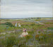 Landschap in Shinnecock, Long Island - William Merritt Chase — weergave van het kunstwerk