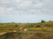 Onbekend, Shinnecock Hills, Long Island - William Merritt Chase — weergave van het kunstwerk