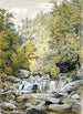 Catskill Clove - William Rickarby Miller — weergave van het kunstwerk