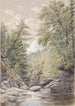 Catskill Clove in Palingsville - William Rickarby Miller — weergave van het kunstwerk