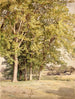 Esdoorns in Chester County, Pennsylvania - William Trost Richards — weergave van het kunstwerk