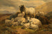 Scottish Highlands Sheep - William Watson — artwork view