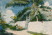 Een tuin in Nassau - Winslow Homer — weergave van het kunstwerk