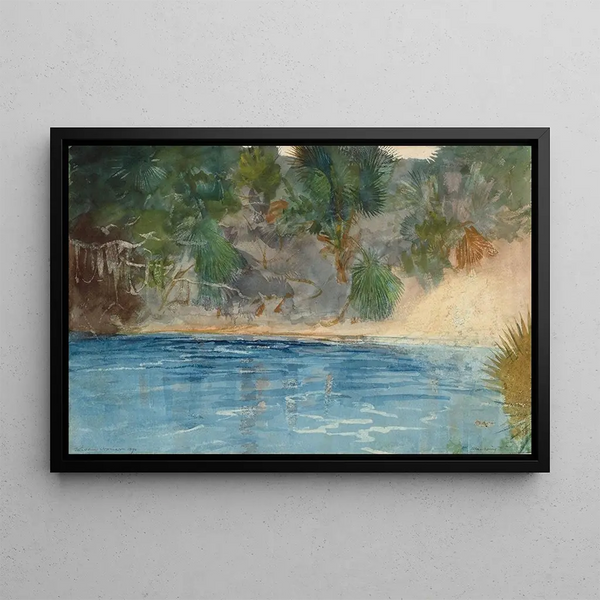 Source blauwe Florida - Winslow Homer — ingelijst kunstwerk aan de muur