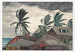 Orkaan in de Bahama's - Winslow Homer — weergave van het kunstwerk
