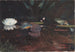 Vossenpoel - Winslow Homer — weergave van het kunstwerk