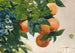 Sinaasappels op een tak - Winslow Homer — weergave van het kunstwerk