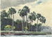 Hemdje rood Homosassa Florida - Winslow Homer — weergave van het kunstwerk