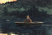 L'essor - Winslow Homer — weergave van het kunstwerk