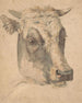 Hoofd van een koe - Wouter Johannes van Troostwijk — weergave van het kunstwerk