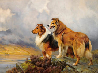 Wright Barker - Two Collies Above A Lake.webp