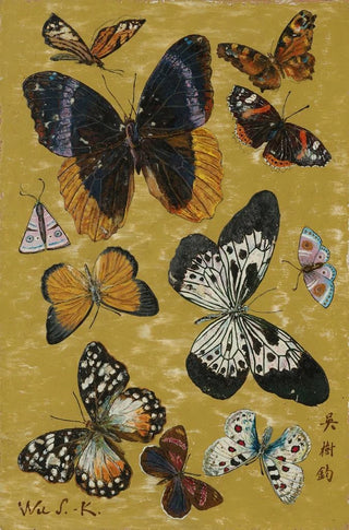 Wu Shujun - Papillons.webp