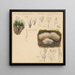 Xylaria hypoxylon Pterula multifida - Hans Walty — ingelijst kunstwerk aan de muur