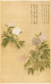 Pivoines - Yun Shouping — ingelijst kunstwerk aan de muur