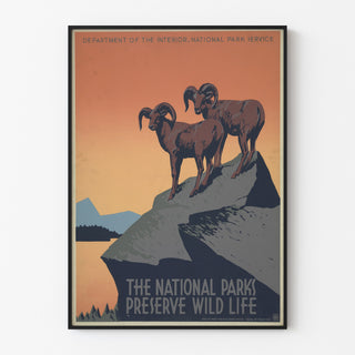 Vintage poster National Parks Preserve Wild Life, gepresenteerd in een dunne lijst tegen een lichte muur.