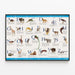 Animal Alphabet Poster with Illustrations — framed artwork on a wall