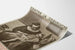 Vintage poster tegen kinkhoest - Ampho-Quintivaccin
