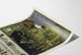 Vintage poster Ault & Wiborg - Drukinkt en lithografie