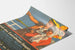 Vintage poster van de excursie Lauenburger Dampfers naar Hamburg