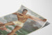 Poster Bé-Dul-Cé atleet met speerwerpen