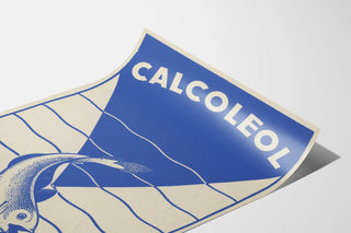 calcoleol-2