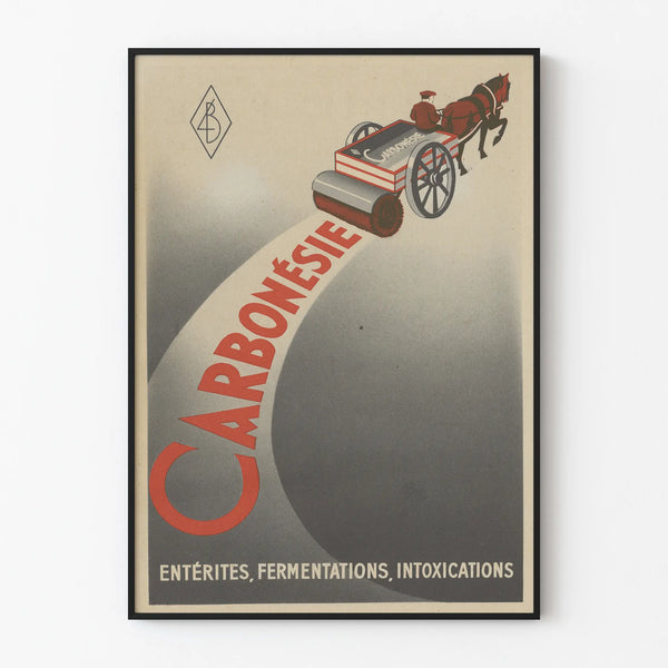carbonesie-3