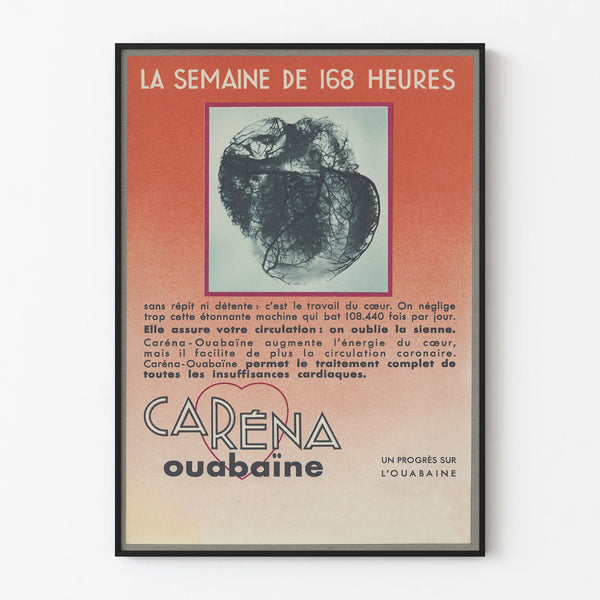 carena-ouabaine