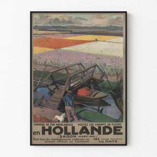 chemins-de-fer-neerlandais-visitez-les-champs-de-fleurs-en-hollande