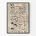 Grote poster van wandkaart Vintage Atlas van Vogels