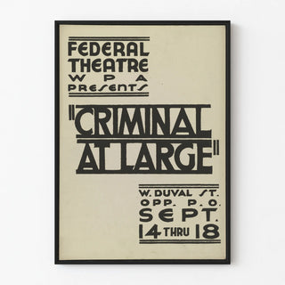 criminal-at-large-2