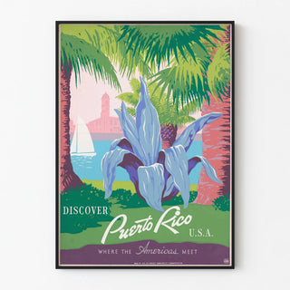 discover-puerto-rico-u-s-a-2