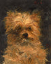 Hoofd van de hond Bob - Édouard Manet — weergave van het kunstwerk