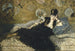 Vrouw met waaien - Édouard Manet — weergave van het kunstwerk
