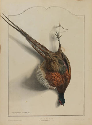 douard Travis - La Chasse Le Faisan Commun.webp