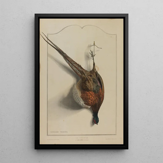 douard Travis - La Chasse Le Faisan Commun.webp