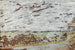 van de Bords de la Touques Pont-l'Évêque - Édouard Vuillard — weergave van het kunstwerk