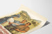 Evenementposter Emmentalisches Schwingfest Heimiswil 1951