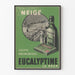Vintage poster Eucalyptine Le Brun retro wanddecoratie