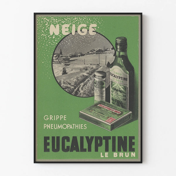 eucalyptine-le-brun-5