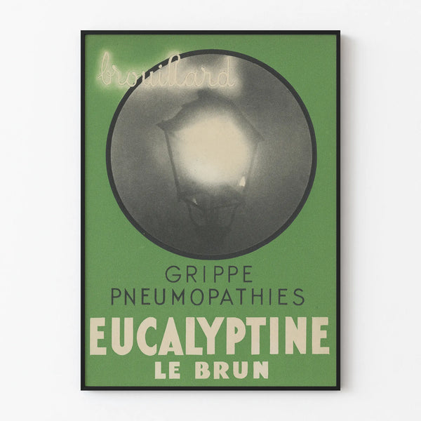 eucalyptine-le-brun-7