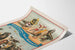 Vintage poster van een groep zeeleeuwen en otters van Forepaugh & Sells Brothers