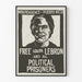Activistische poster voor de onafhankelijkheid van Porto Rico en de bevrijding van Lolita Lebrón