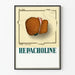 Vintage medische poster illustratie lever hepatisch