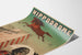 Poster Hippodroom Wonder Springend Paard en Mens Beer