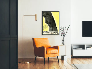 Vintage poster Hormolaxine - Darmrevalidatie en vrijheid van de buik