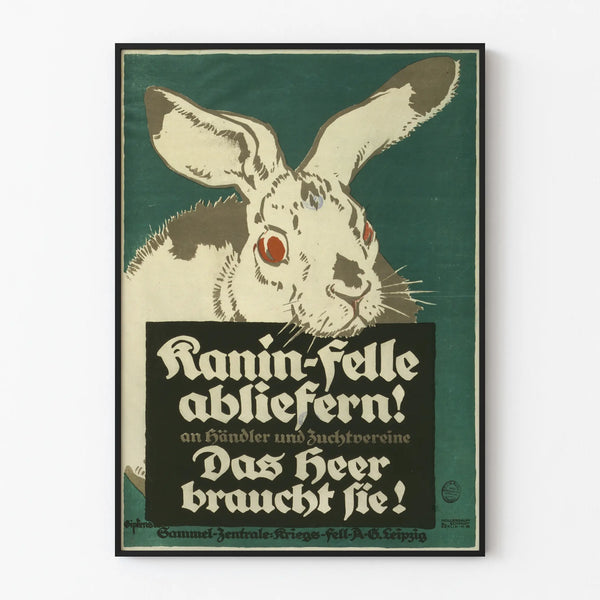 kanin-felle-abliefern-an-handler-und-zuchtvereine-das-heer-braucht-sie