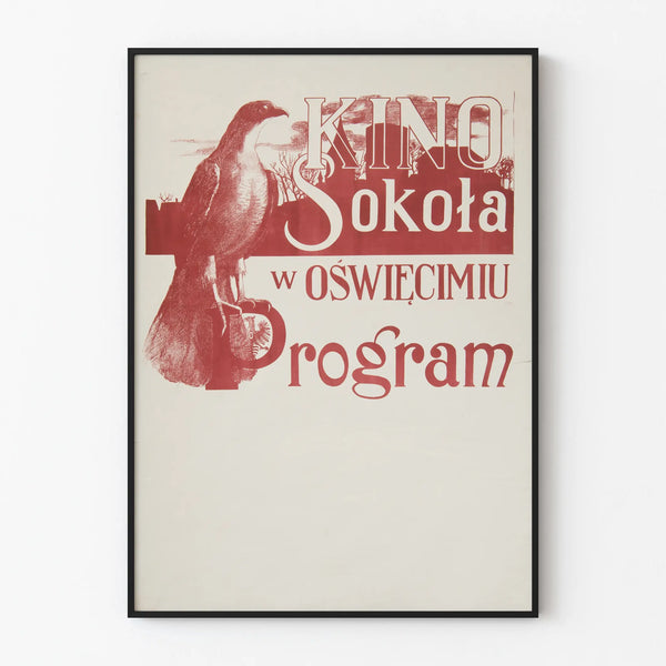 kino-sokola-w-oswiecimiu
