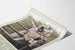 Vintage Kodak poster met jonge vrouwen en camera
