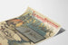 Vintage poster Groenland Nordenskjöld verzending
